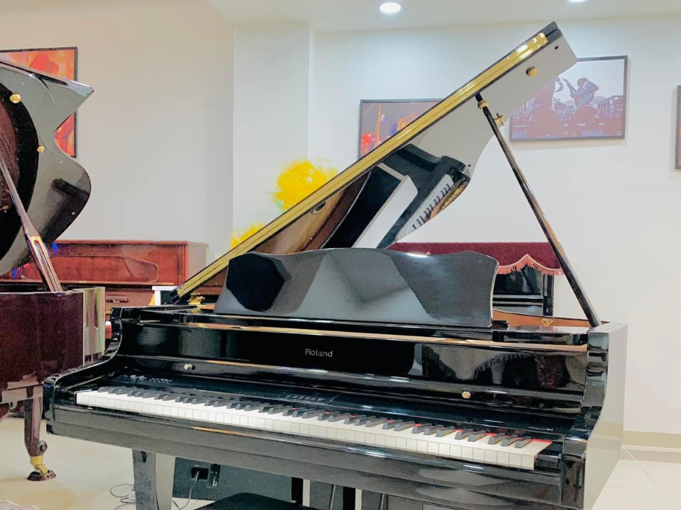 Hình ảnh chi tiết ROLAND RG-7F PE góc chụp 2